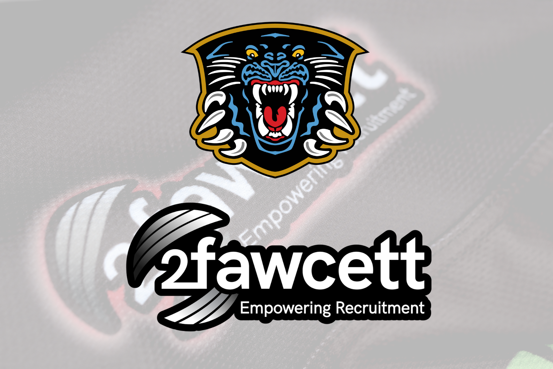 2FAWCETT BACK WITH PANTHERS FOR ANOTHER YEAR Top Image