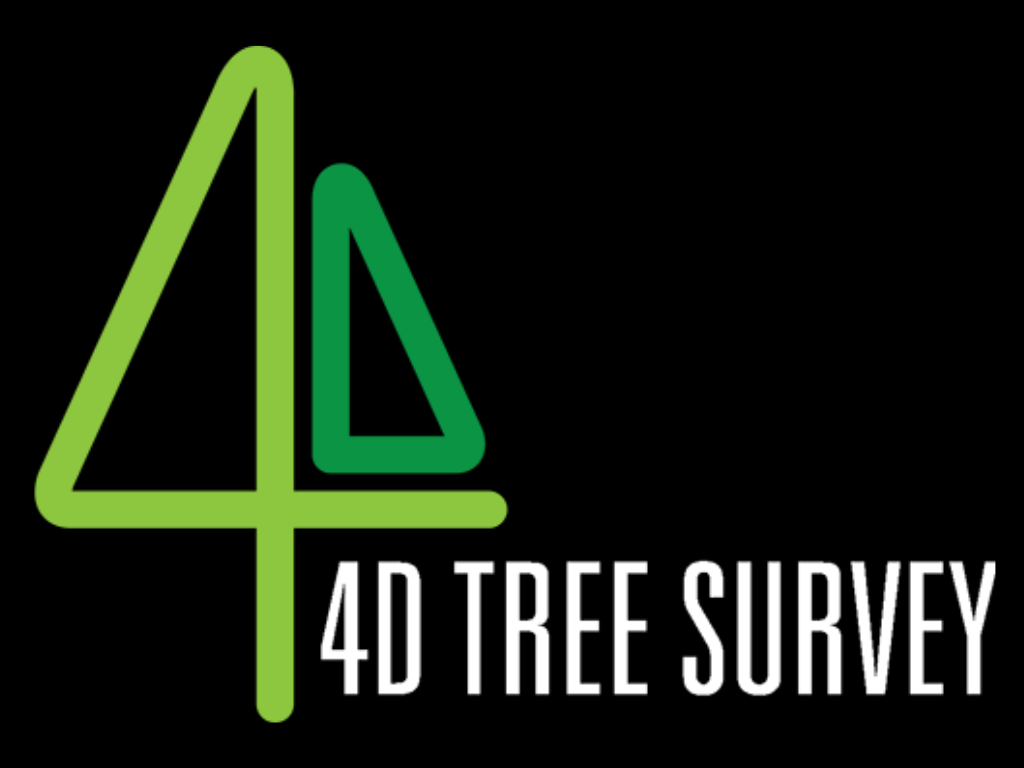 Business Club - 4D Tree Survey