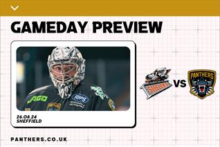 PREVIEW: PANTHERS TRAVEL TO FACE STEELERS